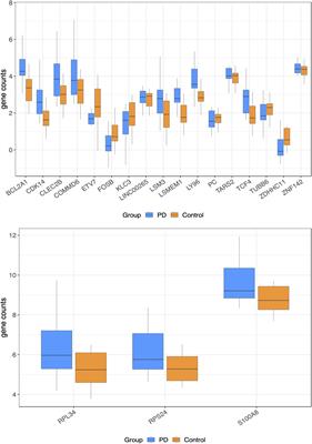 DNA Methylation and Expression Profiles of Whole Blood in Parkinson’s Disease